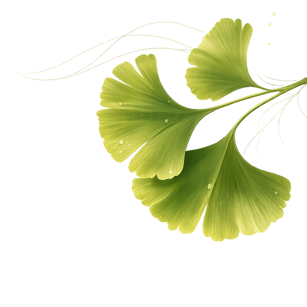 fleur de gingko